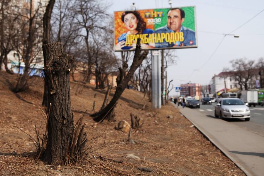 Фотография к новости Московский департамент СМИ и рекламы опроверг мнение о том, что баннеры мешают обзору дороги